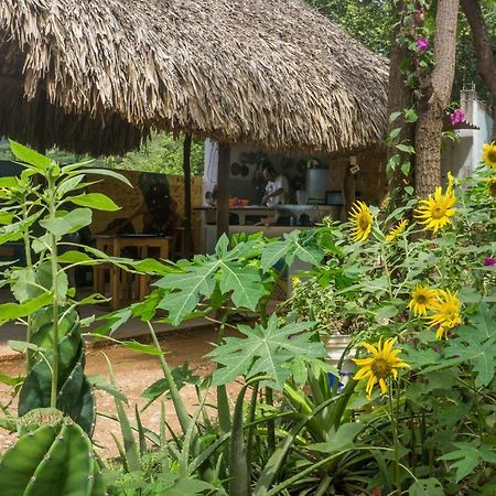 Hostel Hipilandia Taganga Kültér fotó