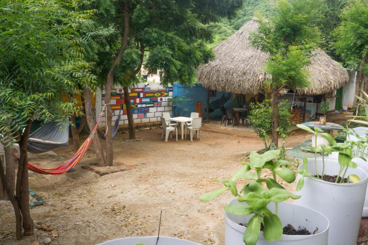 Hostel Hipilandia Taganga Kültér fotó