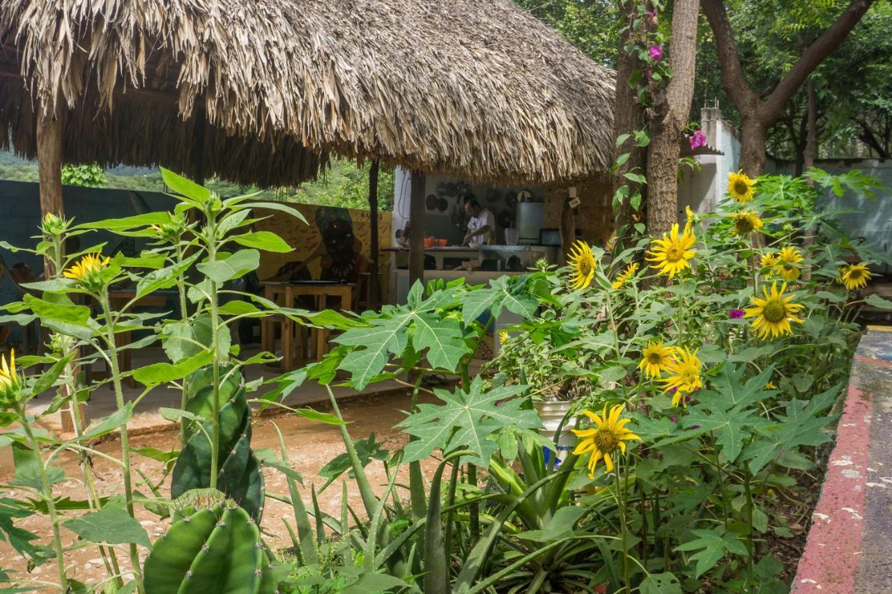 Hostel Hipilandia Taganga Kültér fotó