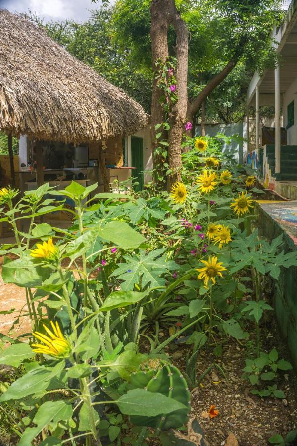 Hostel Hipilandia Taganga Kültér fotó